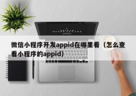 微信小程序開發(fā)appid在哪里看（怎么查看小程序的appid）