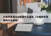 小程序開發(fā)app應(yīng)用什么語(yǔ)言（小程序開發(fā)用的什么語(yǔ)言）