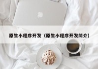 原生小程序開發(fā)（原生小程序開發(fā)簡介）