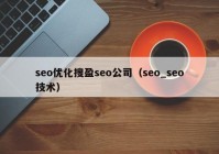 seo優(yōu)化搜盈seo公司（seo_seo技術(shù)）