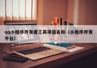 qq小程序開發(fā)者工具項目名稱（小程序開發(fā)平臺）