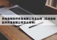 蘇州龍明軟件開發(fā)有限公司怎么樣（蘇州龍明軟件開發(fā)有限公司怎么樣?。? /></a>
		</div>
		<div   id=