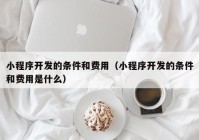 小程序開發(fā)的條件和費用（小程序開發(fā)的條件和費用是什么）