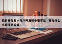 軟件開發(fā)和小程序開發(fā)哪個(gè)更容易（開發(fā)什么小程序比較好）