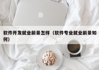 軟件開發(fā)就業(yè)前景怎樣（軟件專業(yè)就業(yè)前景如何）