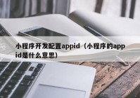 小程序開發(fā)配置appid（小程序的appid是什么意思）