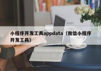 小程序開發(fā)工具appdata（微信小程序開發(fā)工具）