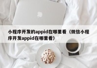 小程序開發(fā)的appid在哪里看（微信小程序開發(fā)appid在哪里看）