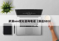 武清seo優(yōu)化咨詢電話（清遠(yuǎn)SEO）