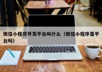 微信小程序開發(fā)平臺(tái)叫什么（微信小程序是平臺(tái)嗎）