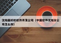 沈陽最好的軟件開發(fā)公司（中國軟件沈陽分公司怎么樣）