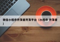 微信小程序開發(fā)者開發(fā)平臺(tái)（小程序 開發(fā)者）