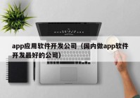 app應(yīng)用軟件開發(fā)公司（國內(nèi)做app軟件開發(fā)最好的公司）