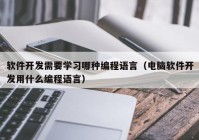 軟件開發(fā)需要學習哪種編程語言（電腦軟件開發(fā)用什么編程語言）